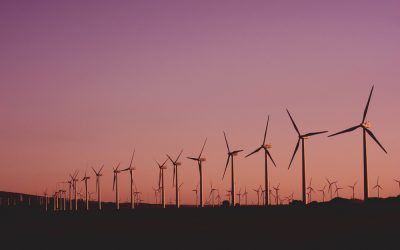 photo-of-wind-turbines-lot photo-of-wind-turbines-lot